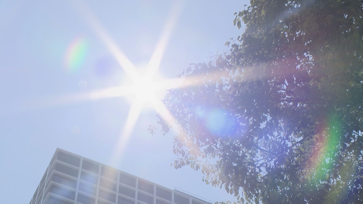 三重県に「熱中症警戒アラート」発表 名古屋・岐阜・伊賀で最高気温36℃を予想 各地で危険な暑さになる見込み （CBCテレビ） - Yahoo!ニュース - Yahoo!ニュース