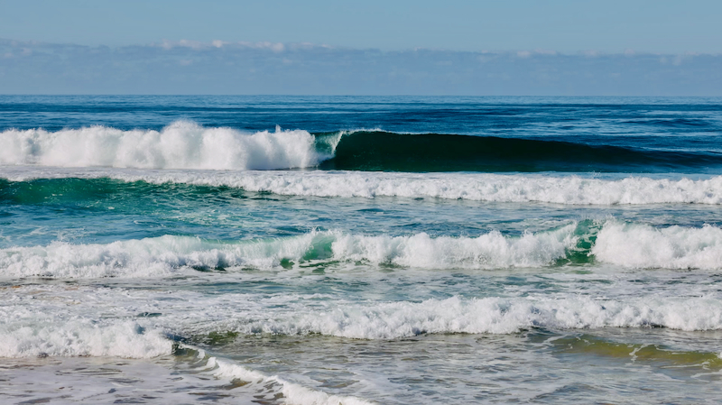 スクリーンショット 2025-06-02 11.31.47