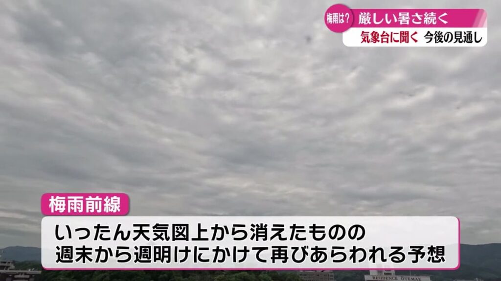 共有