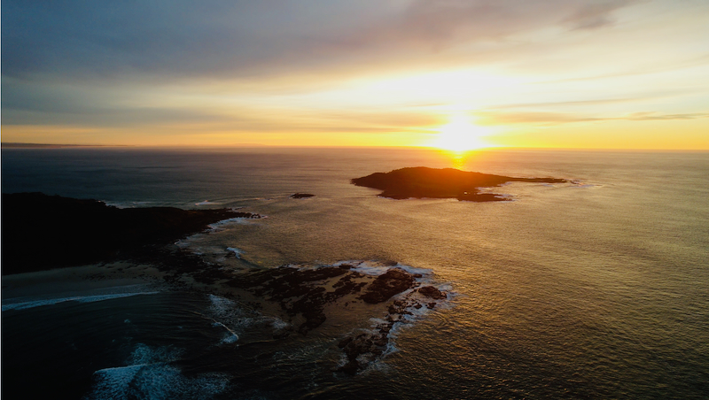 スクリーンショット 2025-06-02 15.10.26