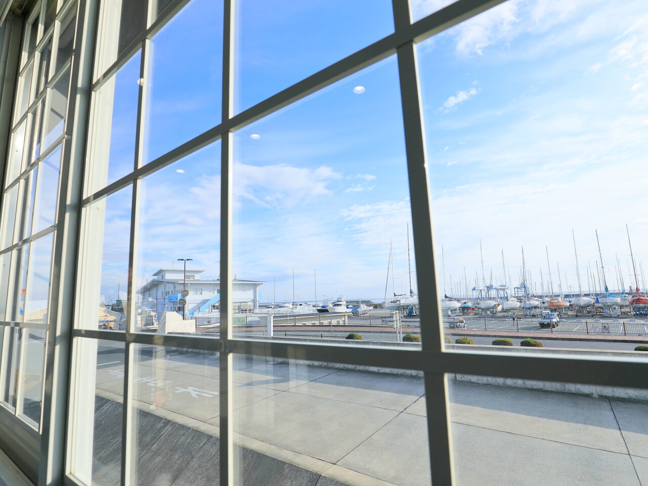 2025年オープン「Nemu]