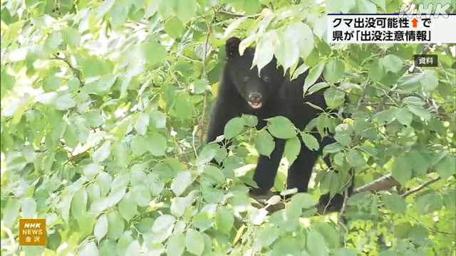 石川県がクマの「出没注意情報」対策の徹底呼びかけ - nhk.or.jp