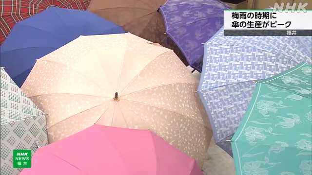 本格的な梅雨の時期に入り 傘の生産ピーク 福井市｜NHK 福井県のニュース
