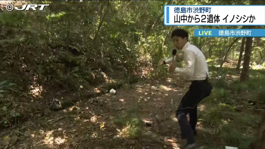 共有
