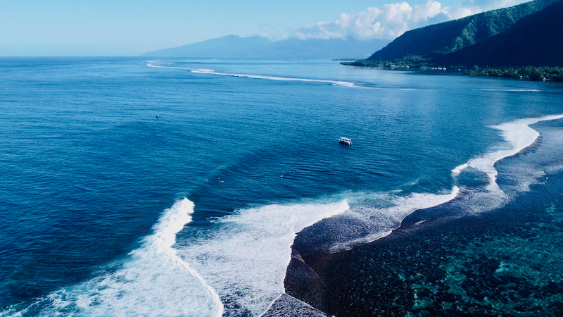 スクリーンショット 2025-06-29 6.07.03