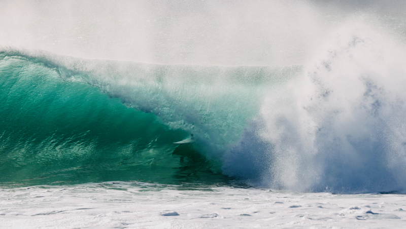 スクリーンショット 2025-06-05 4.20.45