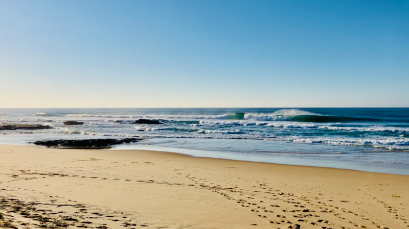 スクリーンショット 2025-06-02 5.11.48