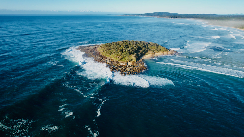 スクリーンショット 2025-05-31 8.47.34