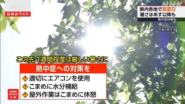 広島県内各地で真夏日 １８日以降も厳しい暑さ 熱中症に注意 - nhk.or.jp