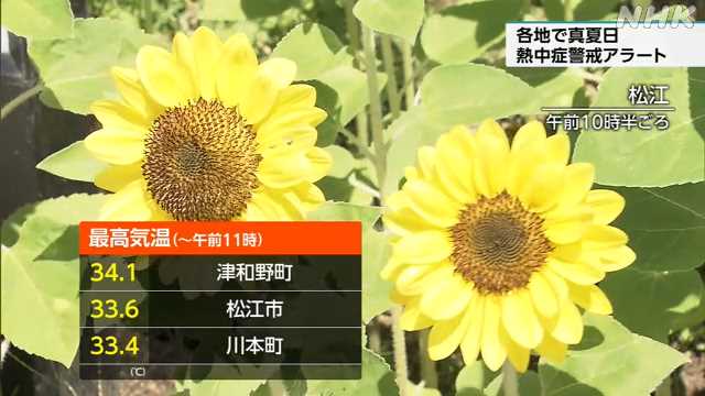 島根 県内各地で真夏日 熱中症警戒アラート 対策の徹底を｜NHK 島根県のニュース