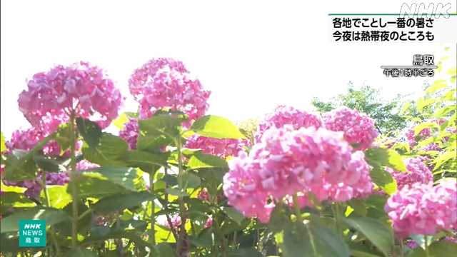 鳥取市で猛暑日 県内は熱帯夜の見込みで熱中症対策を - nhk.or.jp