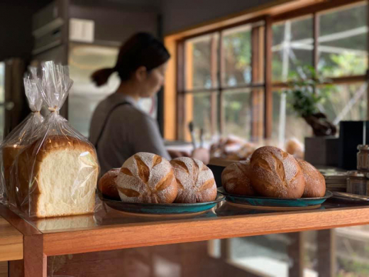 【鹿児島・甑島】再生と兆し〜始まりの物語を紡ぐ KOSHIKI ART PROJECT〜 ／ KOSHIKI ART 2024 事務局長 齊藤純子さん