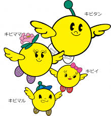 心の光で未来を福島県を織り上げる - おおさか佳巨（オオサカヨシキヨ） ｜ 選挙ドットコム