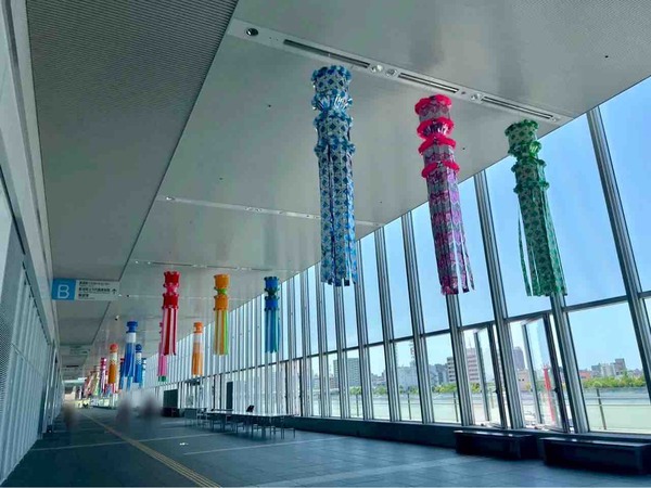 新潟市 イベント 6月