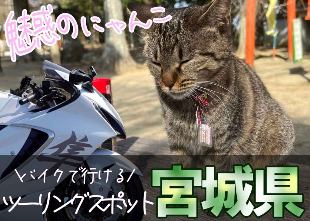 宮城県のおすすめツーリングスポット｜“ねこ好き”は参拝必須の神社が登米市に！ 海風を感じられるスポット・カフェも紹介【Rurikoの長旅ガイド】 - webオートバイ