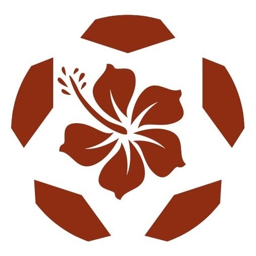 自信を確固たるものに。岐阜を迎え撃つ【2025明治安田J3第18節（vs.FC岐阜）スタメン発表＆プレビュー】 : RYUKYU SOCCER PRESS