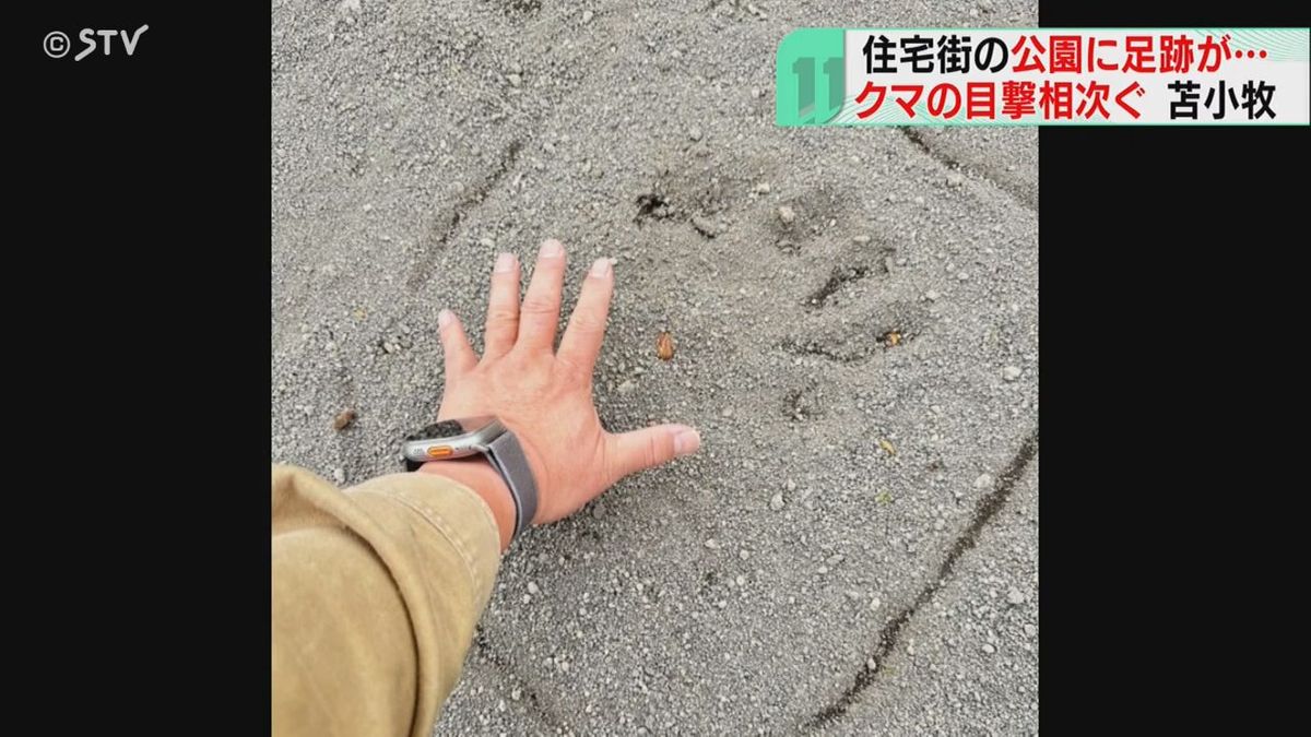 公園に大きな足跡はっきりと…住宅街でクマの目撃相次ぐ　体長約１.５メートル　北海道苫小牧市