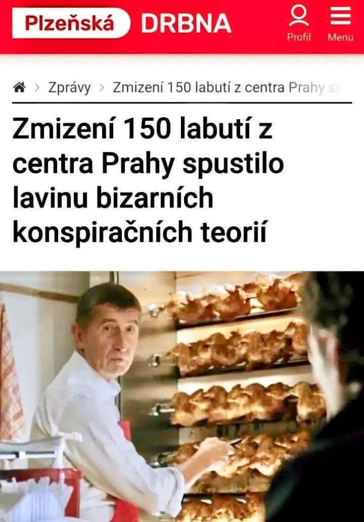 スワンはどうなりましたか？！