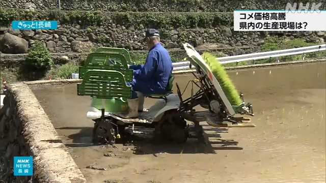 長崎県内 田植えが本格的に始まる コメを増産できない農家も｜NHK 長崎県のニュース