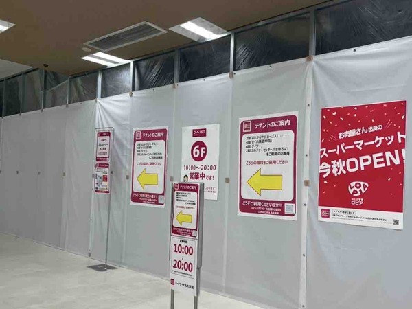 CiiNA CiiNA 新潟 食生活 ロピア オープン 延期