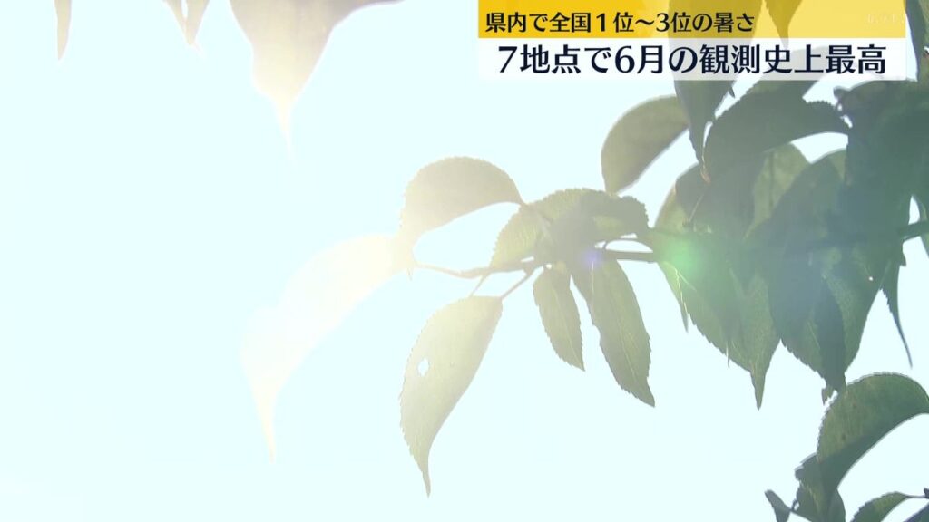 共有