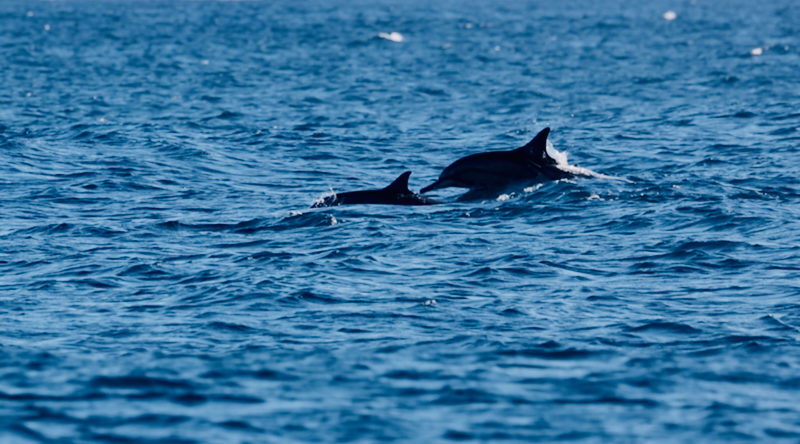 スクリーンショット 2025-06-29 6.28.25