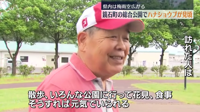 共有