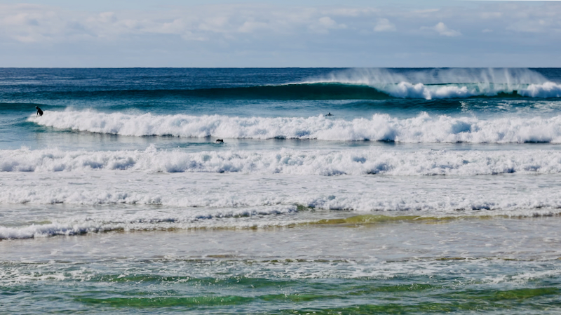 スクリーンショット 2025-06-06 8.03.43