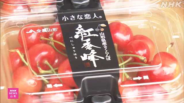 さくらんぼ「紅秀峰」の出発式 山形 寒河江 - nhk.or.jp