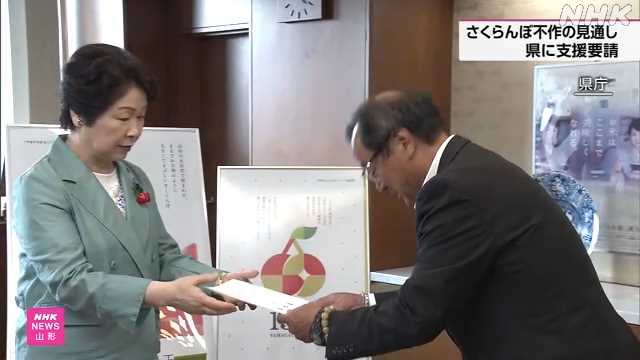 さくらんぼ不作の見通し 農業団体が資金援助など山形県に要請 - nhk.or.jp