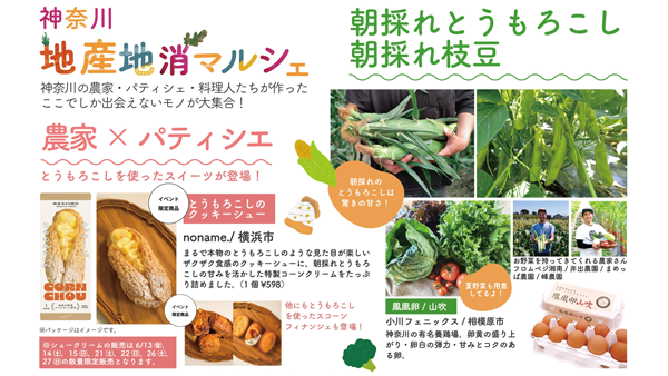 朝採れトウモロコシなど地元農産物が集合「神奈川-地産地消マルシェ」開催_01.png