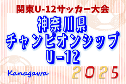 速報！2025年度 神奈川県チャンピオンシップU-12 あざみ野FC･川崎フロンターレ･JFC FUTURO･東住吉ブルーがベスト4進出！1回戦6/28、2回戦･準々決勝全結果掲載！準決勝･決勝･3決は7/6開催！多くの情報ありがとうございます！ | Green Card ニュース