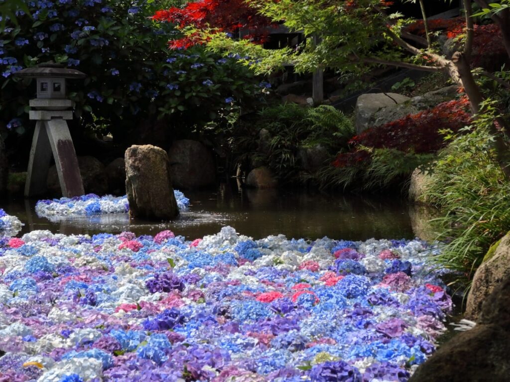 茨城県で人気の「あじさいの名所」ランキング！ 2位「雨引観音」を大差で抑えた1位は？ - All About ニュース