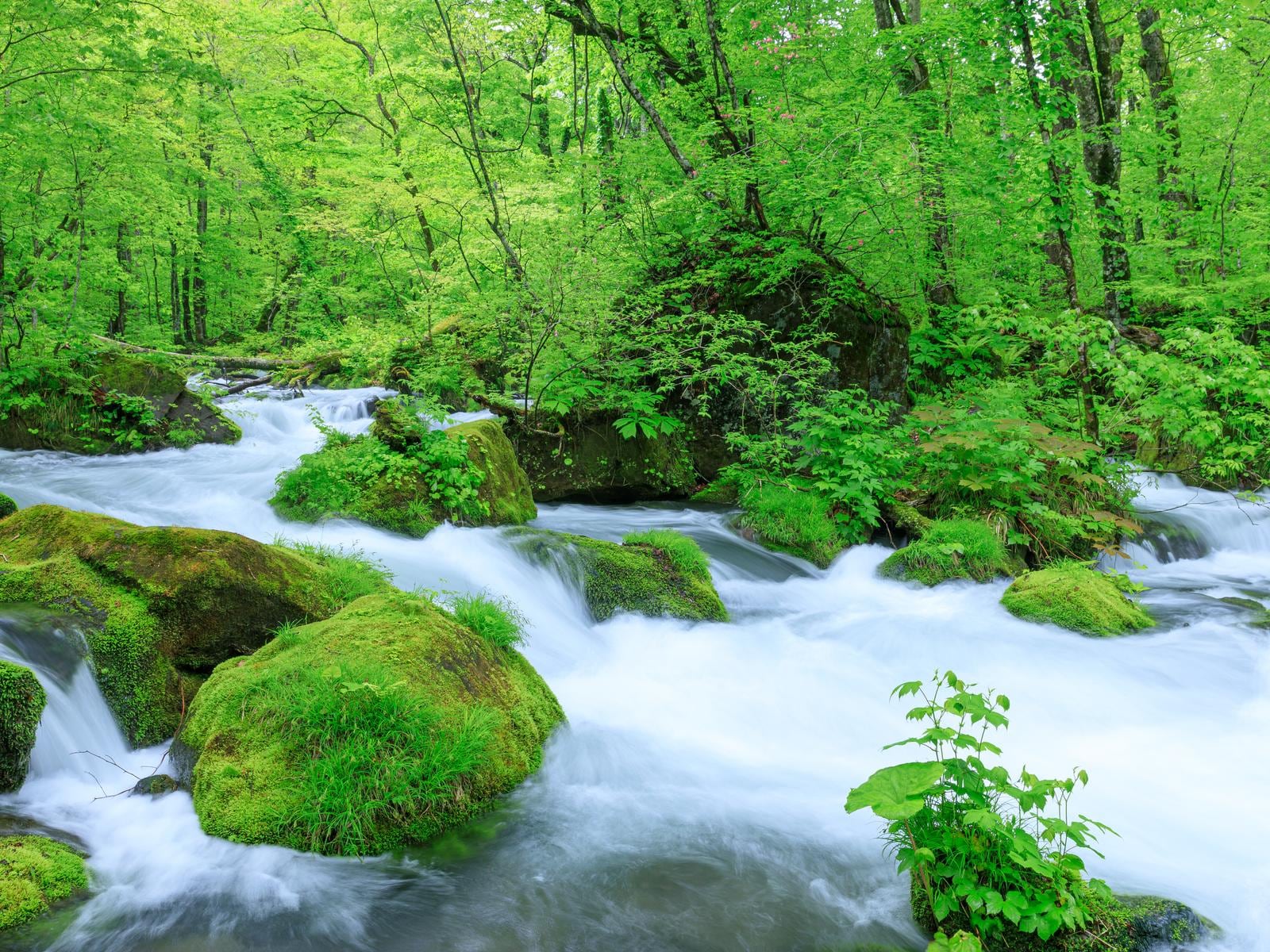 梅雨に行きたい「北海道・東北地方の絶景スポット」ランキング