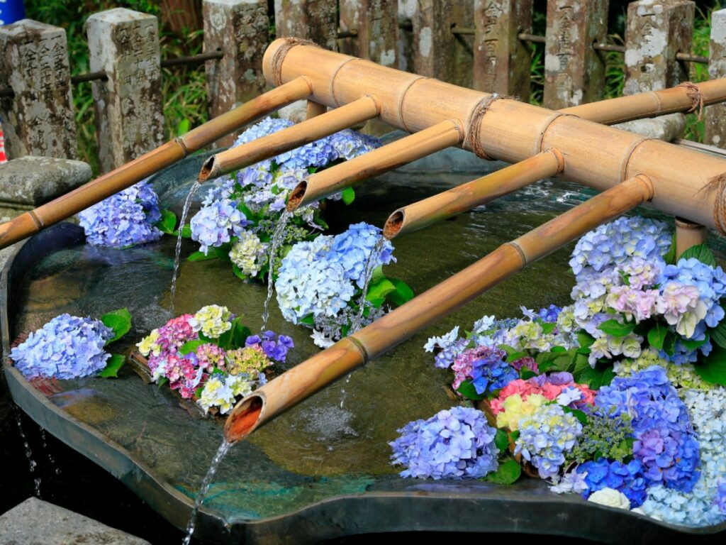 和歌山県の「あじさいの名所」ランキング! 2位は「熊野那智大社」、1位は? – All About ニュース 和歌山県の「あじさいの名所」ランキング! 2位は「熊野那智大社」、1位は? - All About ニュース