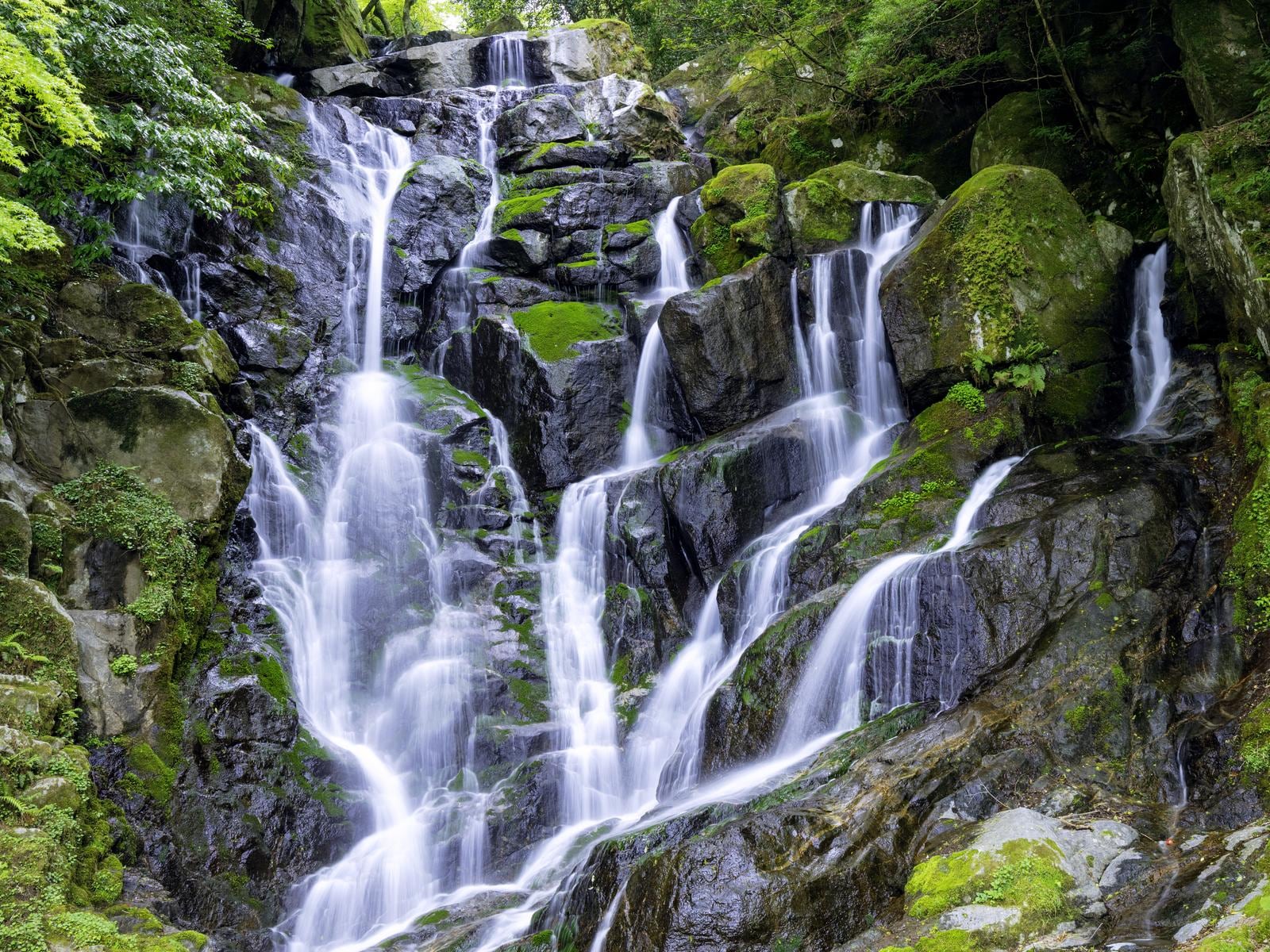 好き＆行ってみたい「福岡県の絶景スポット」ランキング