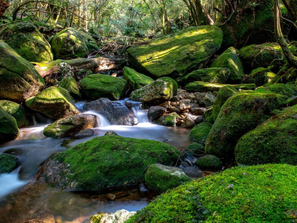 好き＆行ってみたい「鹿児島県の絶景スポット」ランキング！ 2位「屋久島」、1位は？ - All About ニュース