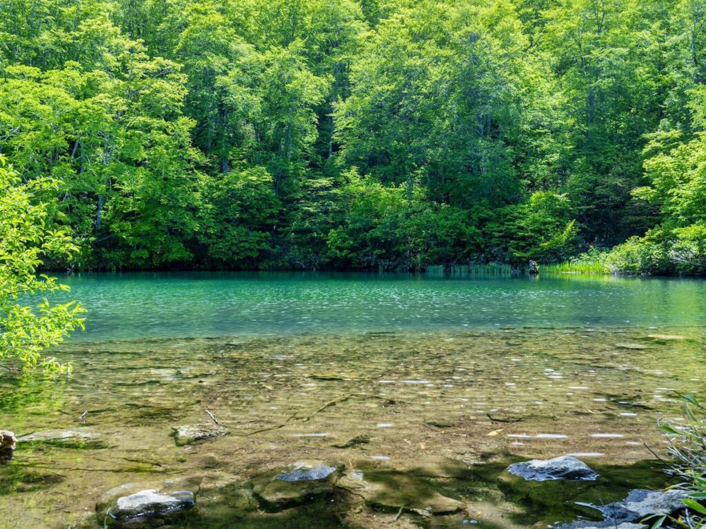 絶景だと思う「日本の高原」ランキング！ 2位は山形県の「山形蔵王中央高原」、1位は？ - All About ニュース