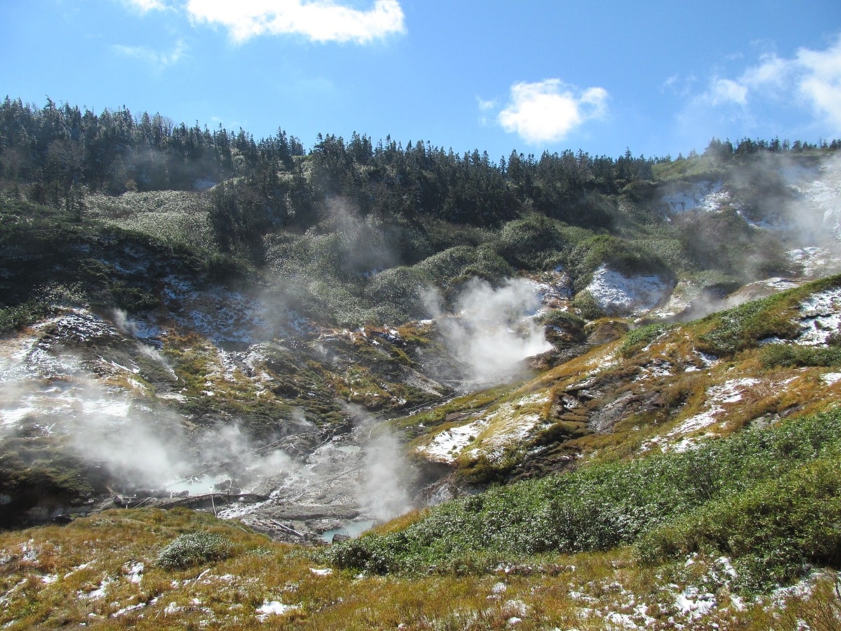 岩手県で「外国人観光客にすすめたい温泉地」ランキング