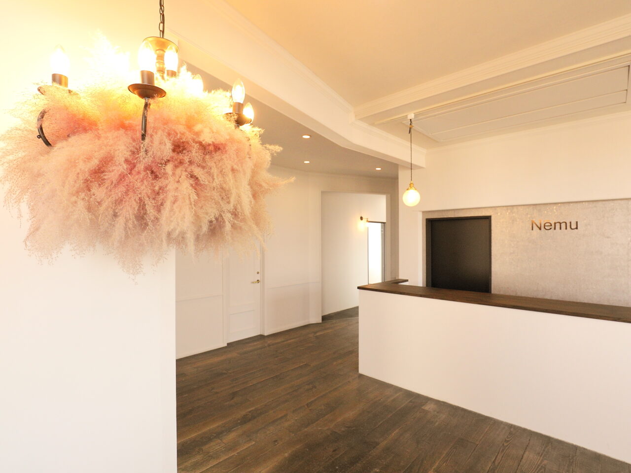 2025年オープン「Nemu]