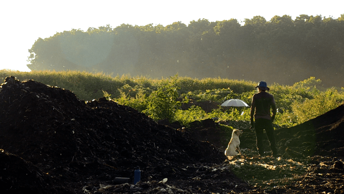 ソウル・オブ・ソイル