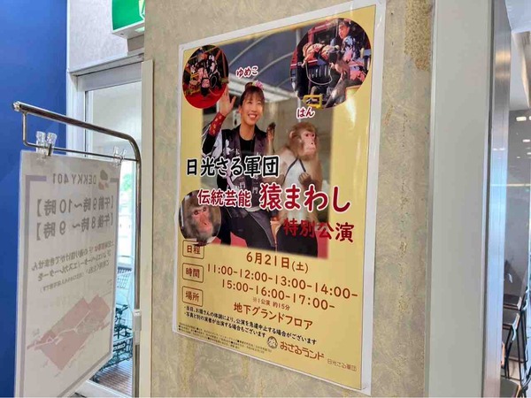 DEKKY401（デッキィ） 6月