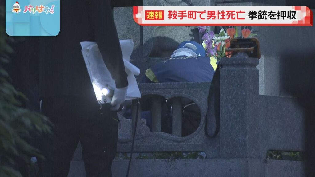 共有