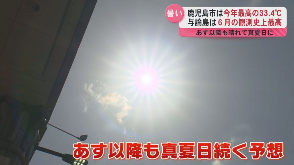 共有