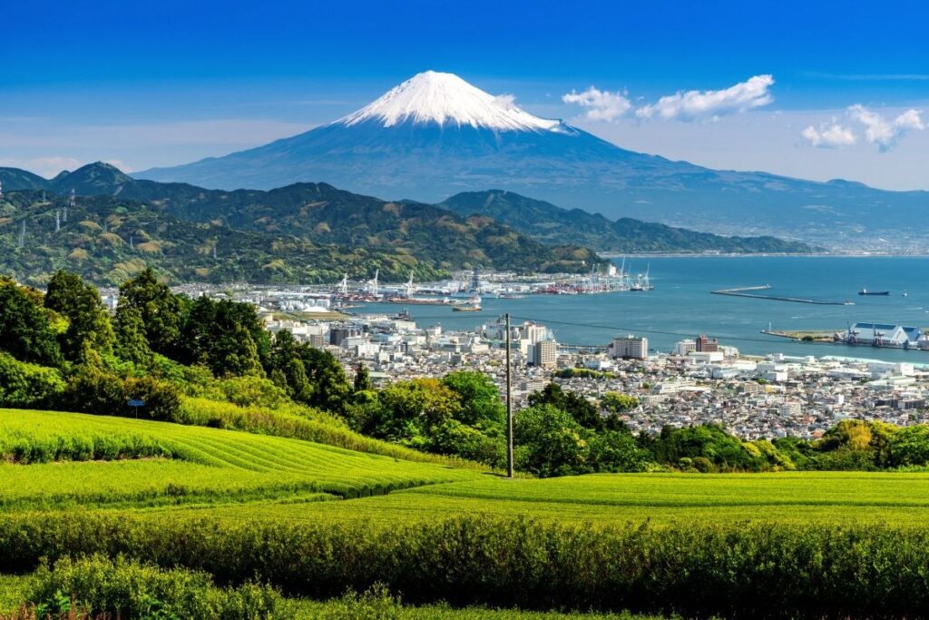 静岡県台湾事務所が「FOOD TAIPEI 2025」に出展 | 静岡県のプレスリリース