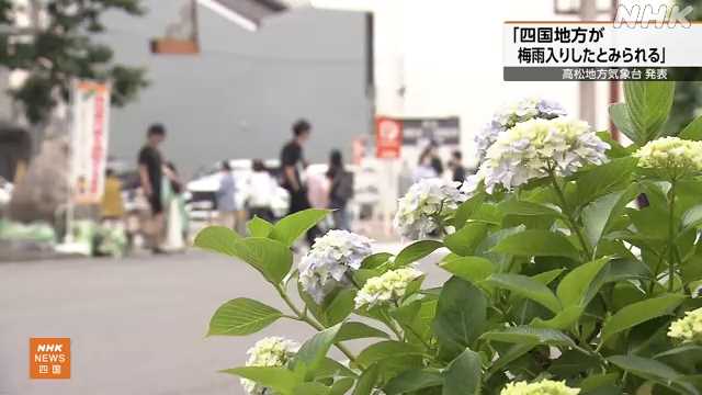 四国が梅雨入り 平年より３日遅く 去年より９日早く｜NHK 愛媛のニュース
