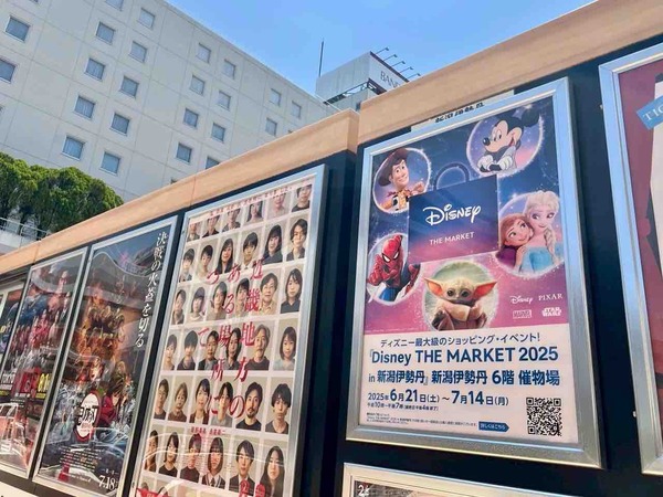 Disney THE MARKET 2025