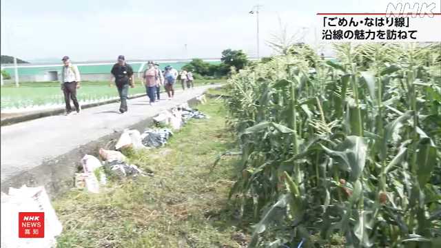 ごめん・なはり線 沿線の歴史や魅力を知って 線路沿いを歩く|NHK 高知県のニュース ごめん・なはり線 沿線の歴史や魅力を知って 線路沿いを歩く|NHK 高知県のニュース
