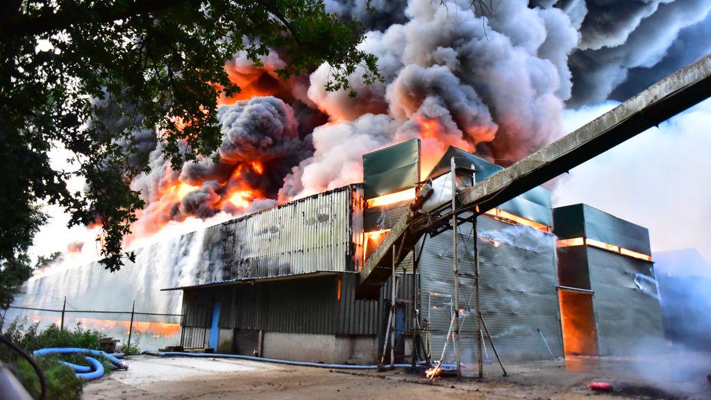 リンブルク養鶏場で大きな火事で死亡した50,000羽の鶏