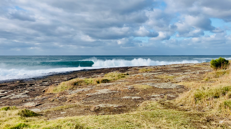 スクリーンショット 2025-06-05 4.50.03